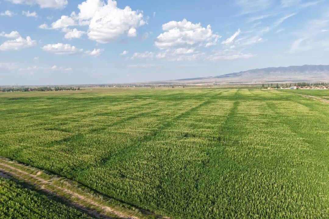 202603191773885769304108 202603191773885769304108