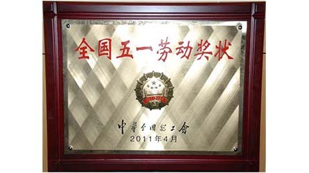 ȫ����һ�Ͷ���״