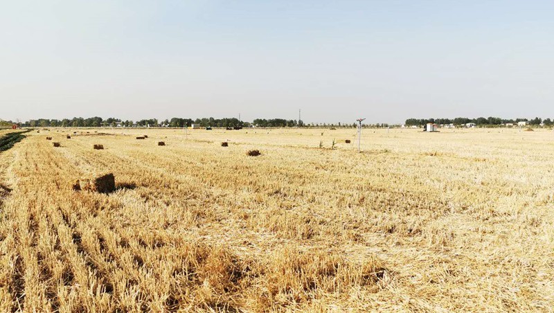 ����ʡ�������۳���2021��߳߶�ũ�ｨ��EPC+O��Ŀ